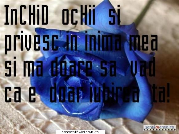 adauga aici adresa ta de hi5